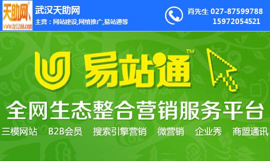 外贸网站建设 武汉天助网 在线咨询 网站建设